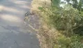 O Bng de Cee esixe medidas urxentes na estrada a praia de Lires