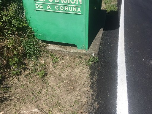 IMG-4381 - copia